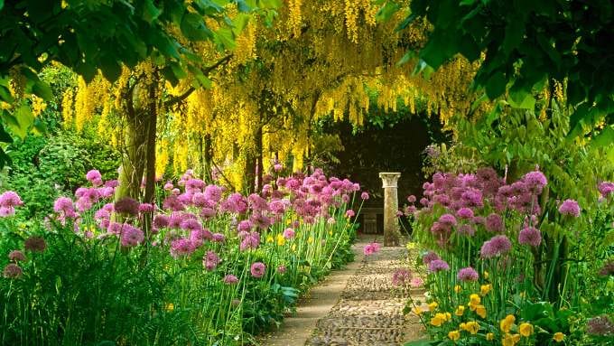 beautiful-garden