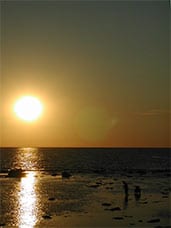sunsetjouney