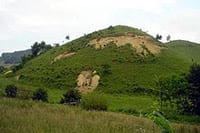 vratnica