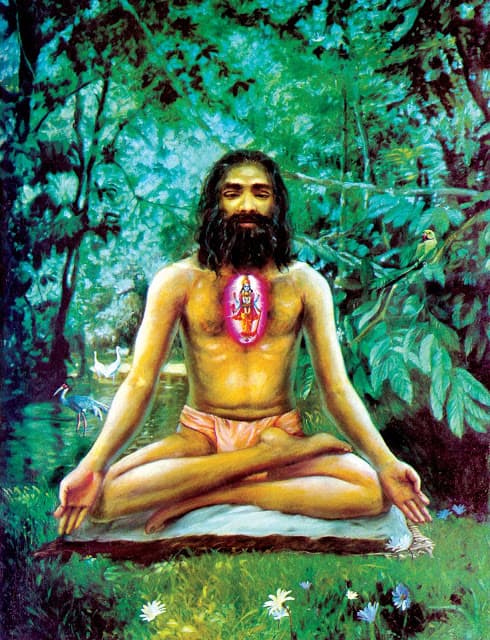 yogi