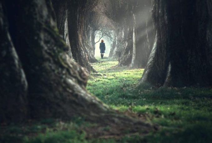 shamanic-path