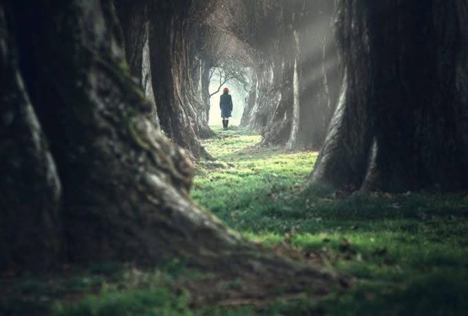 shamanic-path